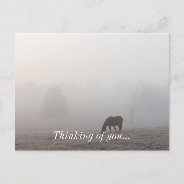 Foggy Grazing Postkarte (Vorderseite)