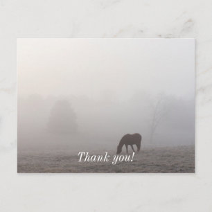 Foggy Grazing Postkarte