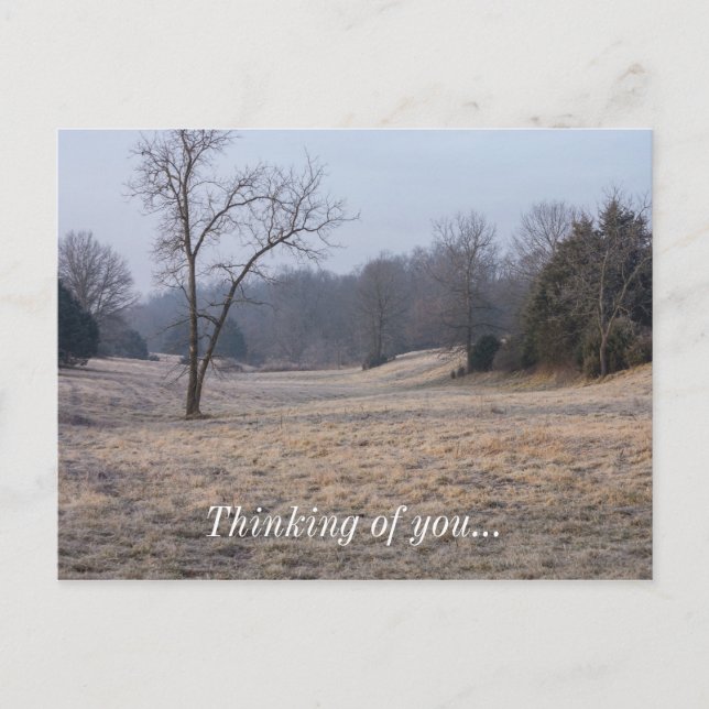 Foggy Meadow Postkarte (Vorderseite)