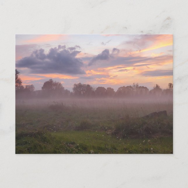 Foggy Michigan Sunset Postkarte (Vorderseite)