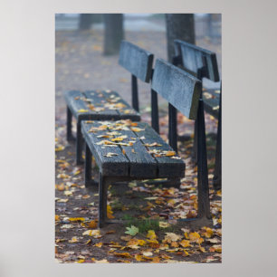 Foggy Morgenparkbank, Deutschland Poster