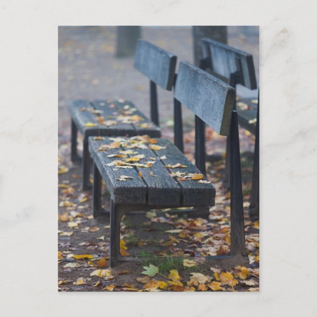 Foggy Morgenparkbank, Deutschland Postkarte (Vorderseite)