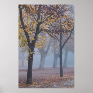 Foggy Morgens im Dom Park Poster