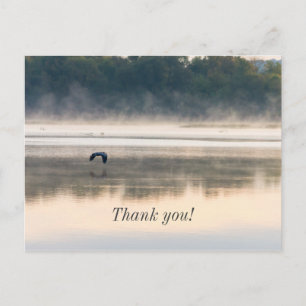 Foggy Morning Flight Danke Postcard Postkarte