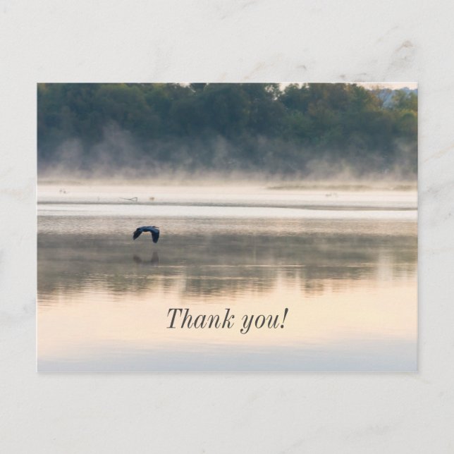 Foggy Morning Flight Danke Postcard Postkarte (Vorderseite)
