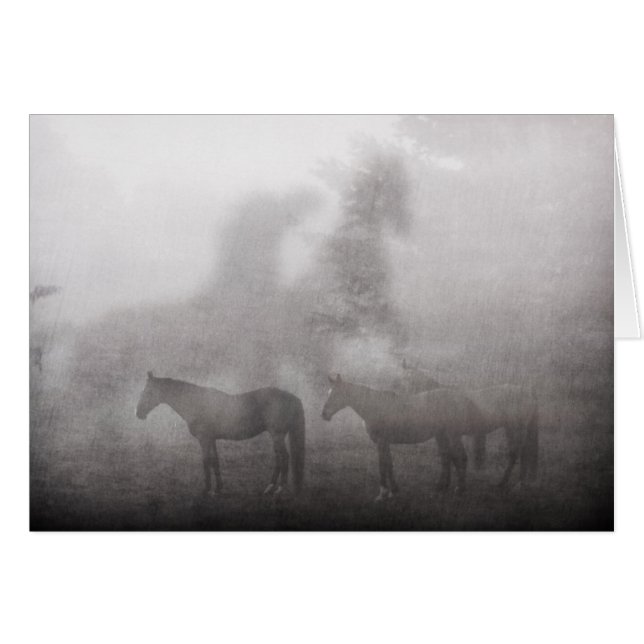 Foggy Morning Horn (Vorderseite (Horizontal))