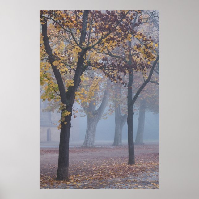 Foggy Morning im Dom Park Poster (Vorne)