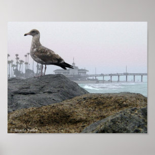 Foggy Morning in Newport Beach Print Poster