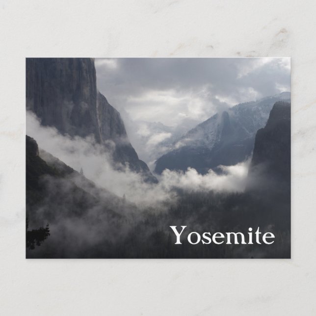 Foggy Morning Postkarte (Vorderseite)