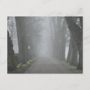 Foggy Morning Postkarte