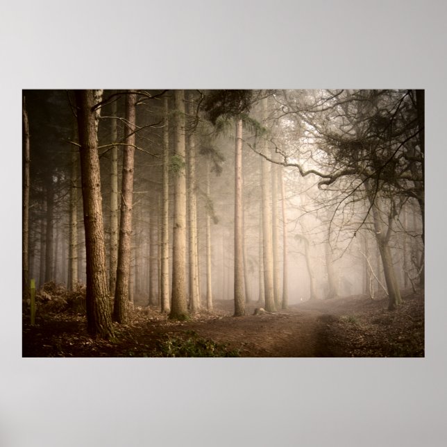Foggy Morning Rushmere Country Park (0842) Poster (Vorne)