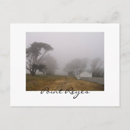 Foggy Point Reyes Postcard Postkarte
