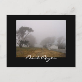 Foggy Point Reyes Postcard Postkarte
