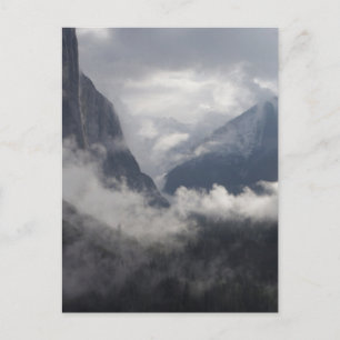Foggy Postkarte