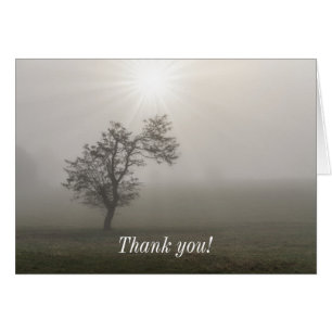 Foggy Sternexplosion Tree Landschaft Danke Karte