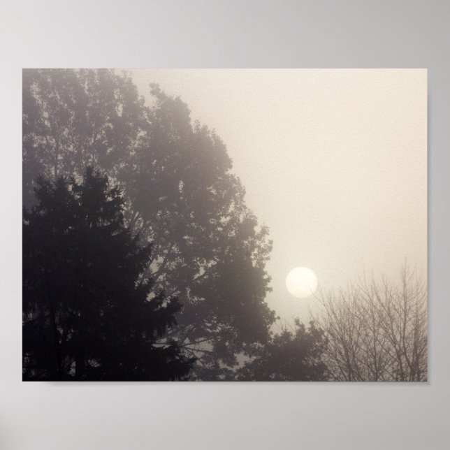 Foggy Sunrise Poster (Vorne)