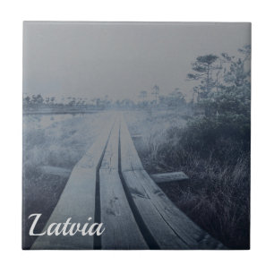 Foggy swamp landscape fliese