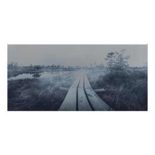 Foggy swamp landscape fotodruck
