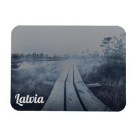 Foggy swamp landscape