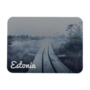 Foggy swamp landscape magnet