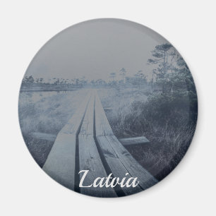 Foggy swamp landscape magnet