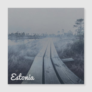 Foggy swamp landscape magnetkarte