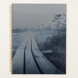 Foggy swamp landscape planer