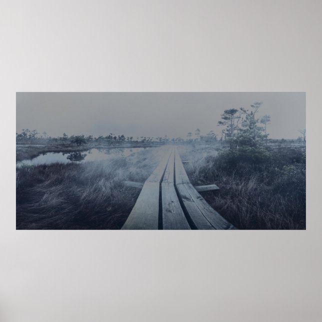 Foggy swamp landscape poster (Vorne)