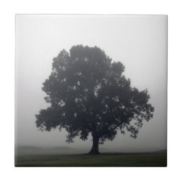 Foggy Tree Fliese
