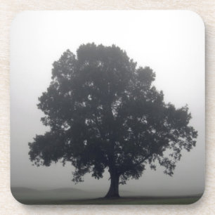 Foggy Tree Getränkeuntersetzer
