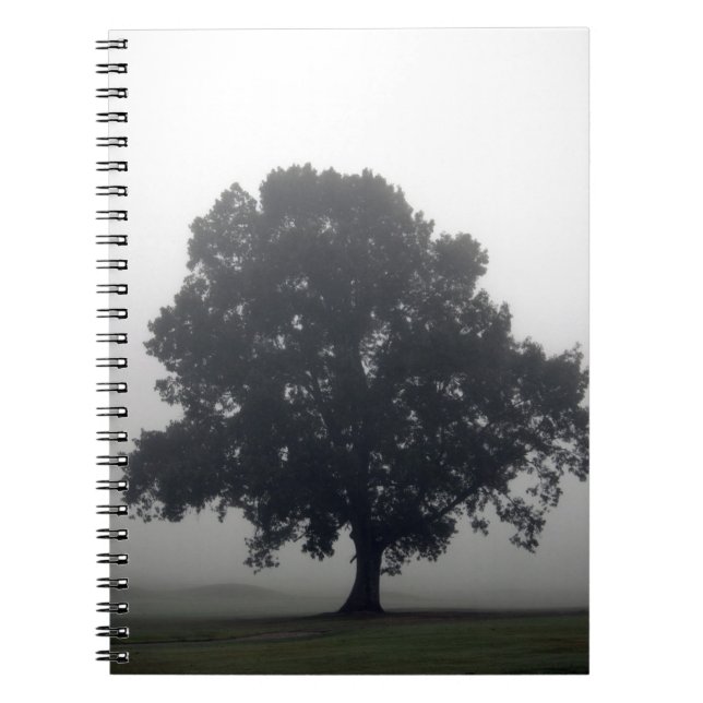 Foggy Tree Notizblock (Vorderseite)