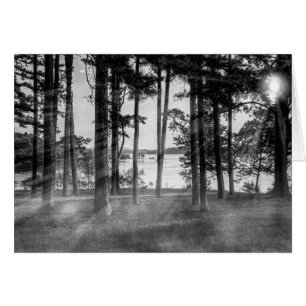 Foggy Trees an Table Rock Graustufen