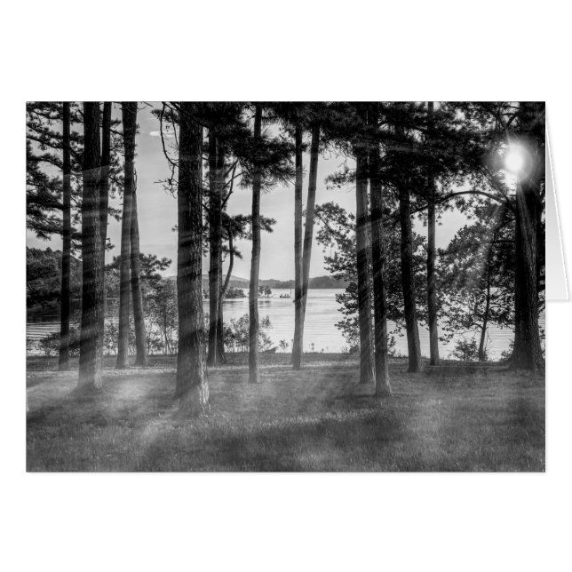 Foggy Trees an Table Rock Graustufen (Vorderseite (Horizontal))