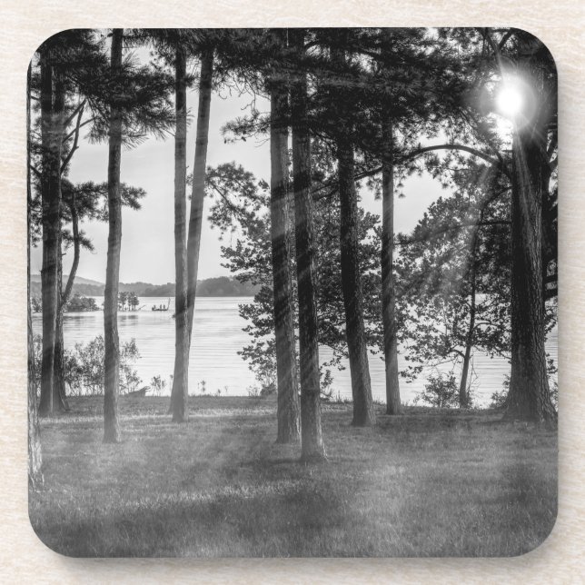 Foggy Trees an Table Rock Graustufen Getränkeuntersetzer (Vorderseite)