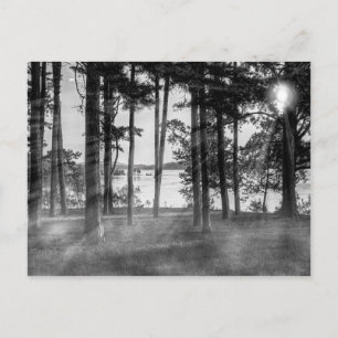 Foggy Trees an Table Rock Graustufen Postkarte