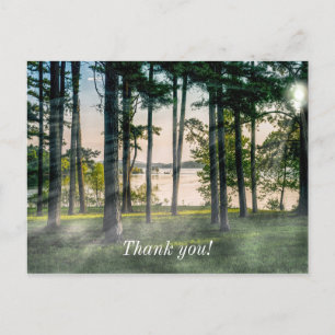 Foggy Trees at Table Rock Danke Postcard Postkarte