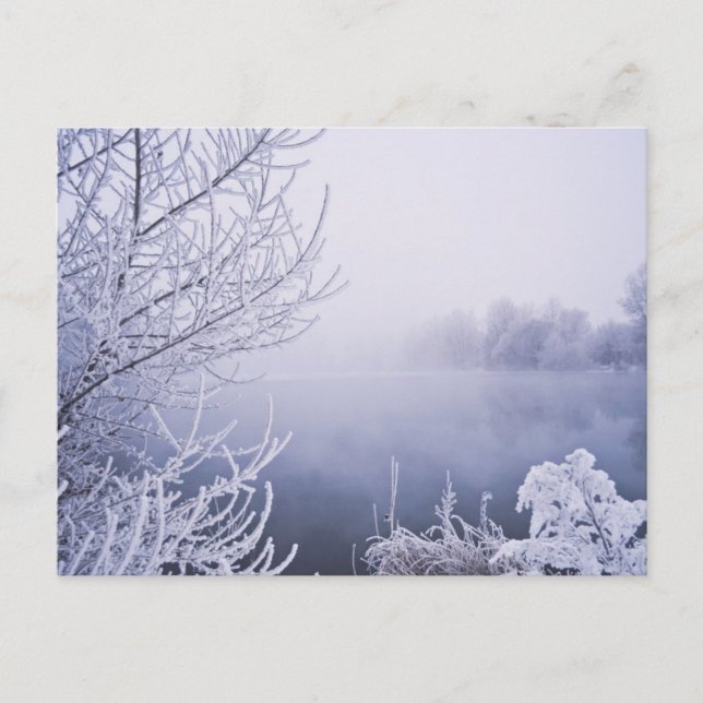 Foggy Winter Day am Fluss Postkarte (Vorderseite)