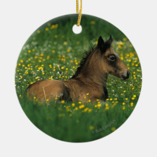 Fohlen, das in den Blumen niederlegt Keramik Ornament