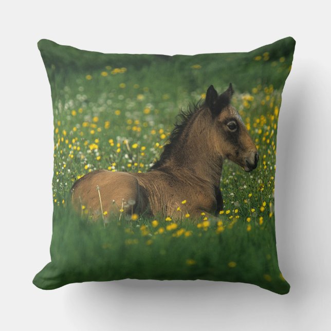 Fohlen, das in den Blumen niederlegt Kissen (Vorderseite)