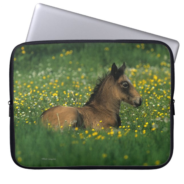 Fohlen, das in den Blumen niederlegt Laptopschutzhülle (Vorderseite)