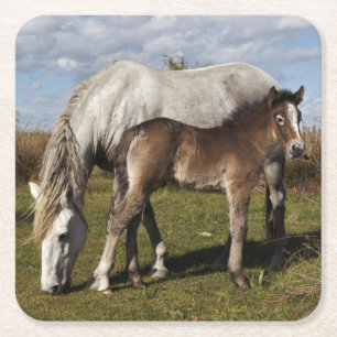 Fohlen des Camargue-Pferdes mit Mutter Rechteckiger Pappuntersetzer