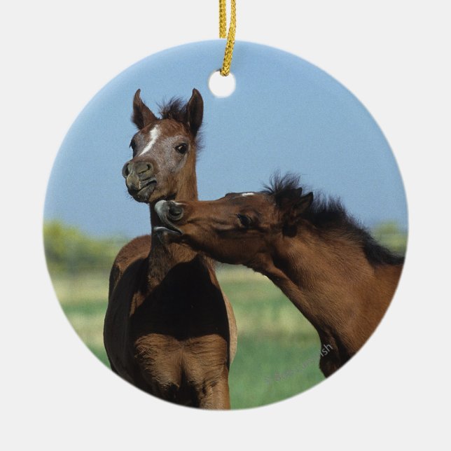 Fohlen, die 2 spielen keramikornament (Vorne)
