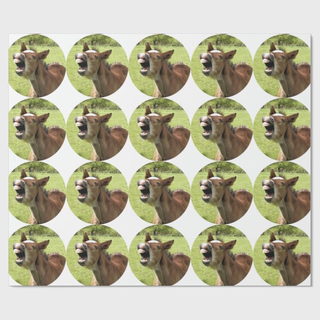 FOHLEN GESCHENKPAPIER (Flach)