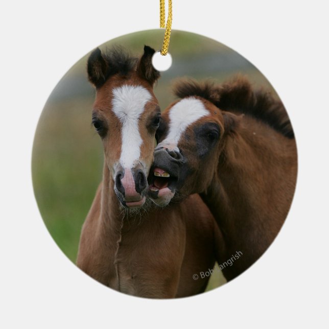 Fohlen-Spielen Keramikornament (Vorne)