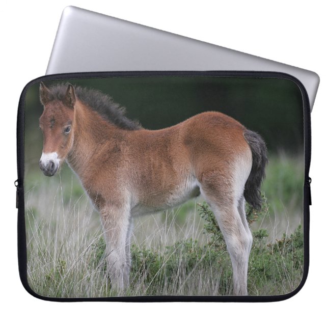 Fohlen stehend laptopschutzhülle (Vorderseite)