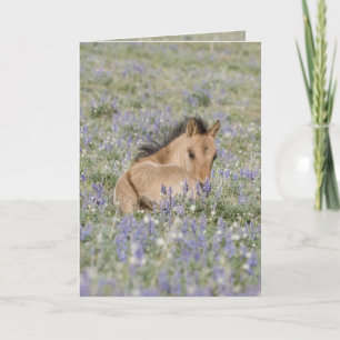 Foie à Lupine Wild Horse Carte de voeux