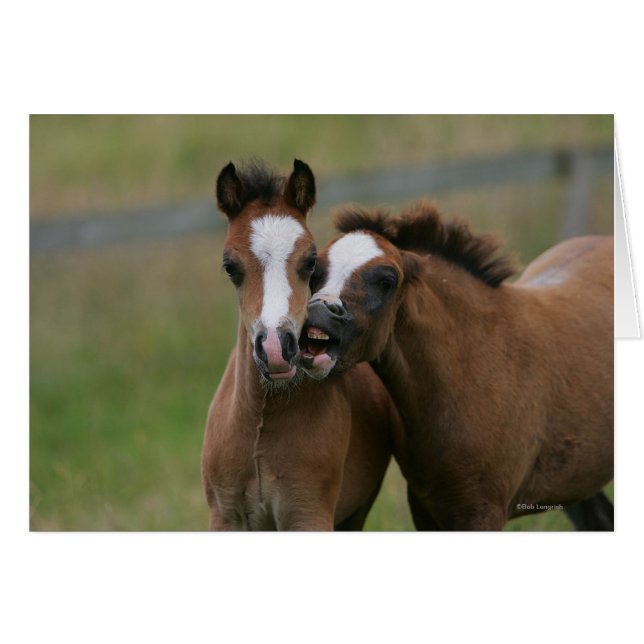 Foies jouant (Devant horizontal)