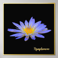 Foil Accessoire Water Lily Design Print Poster Art