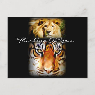 Fokus & Courage_ Postkarte