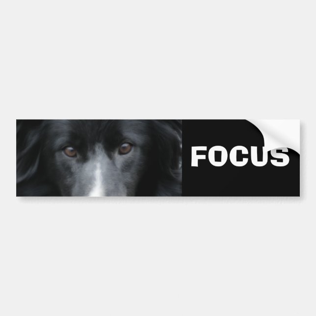 Fokus-Grenzcollie-motivierend Autoaufkleber (Vorne)